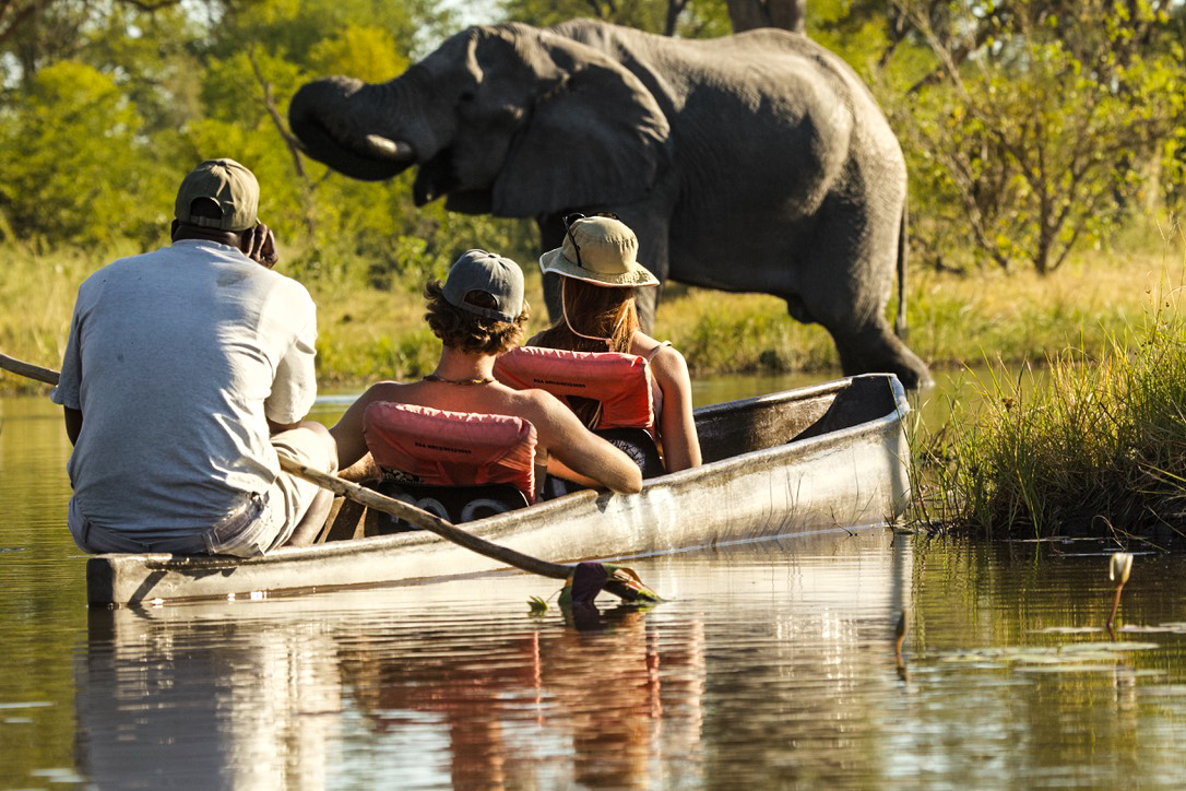 Guests meeting an elephant by mokoro