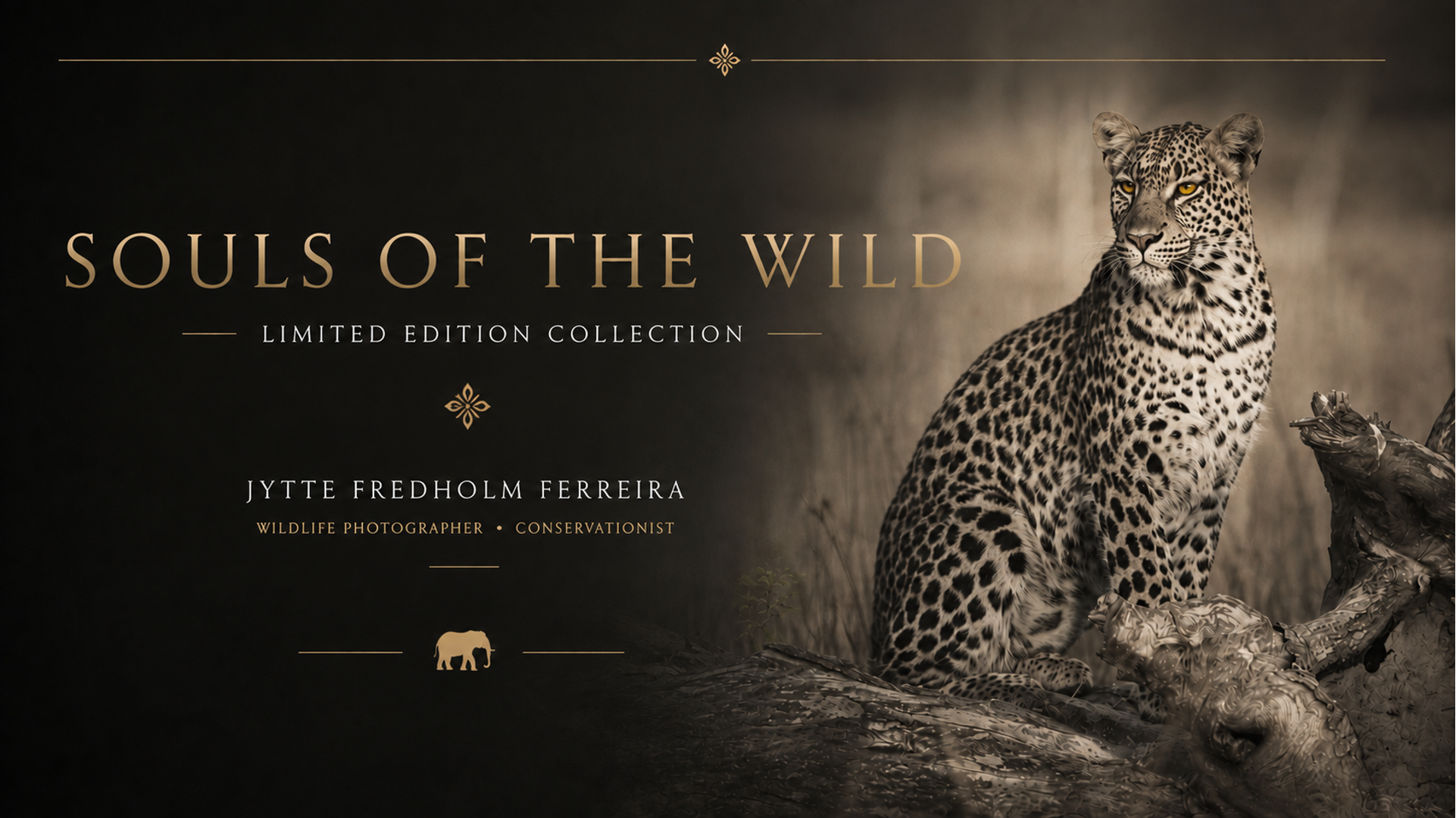 Souls of the Wild limited edition collection cover