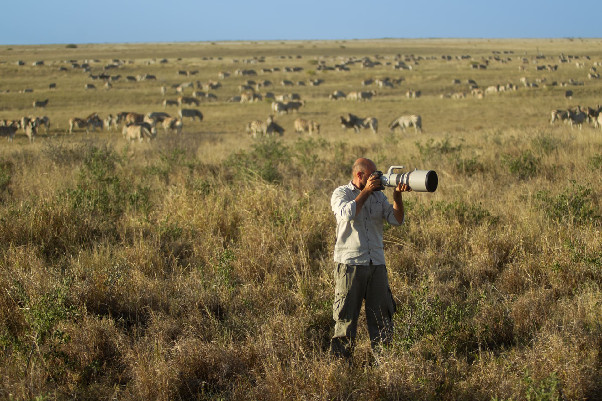 Photographer at work among grazing zebra
